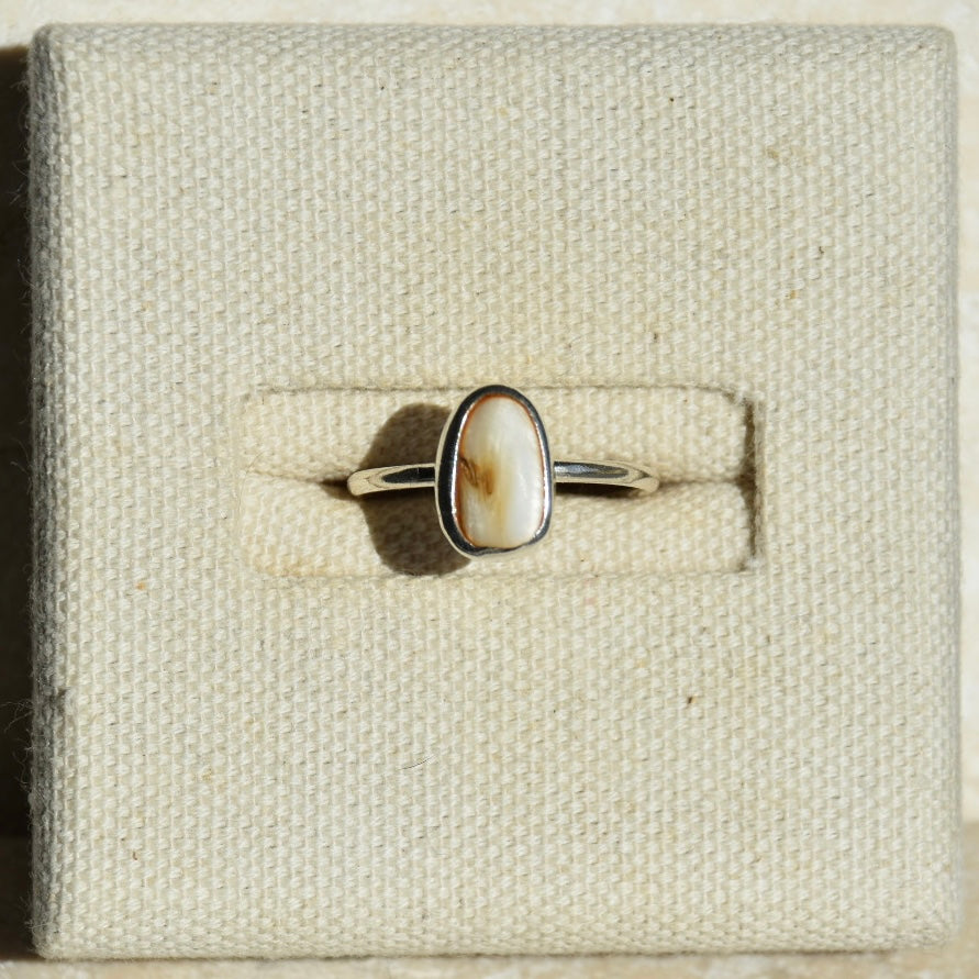 Nacre Shell Ring | Size O