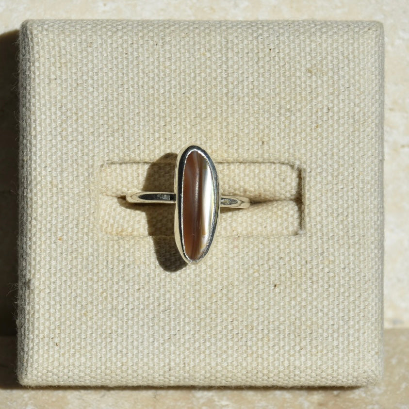 Nacre Shell Ring | Size M