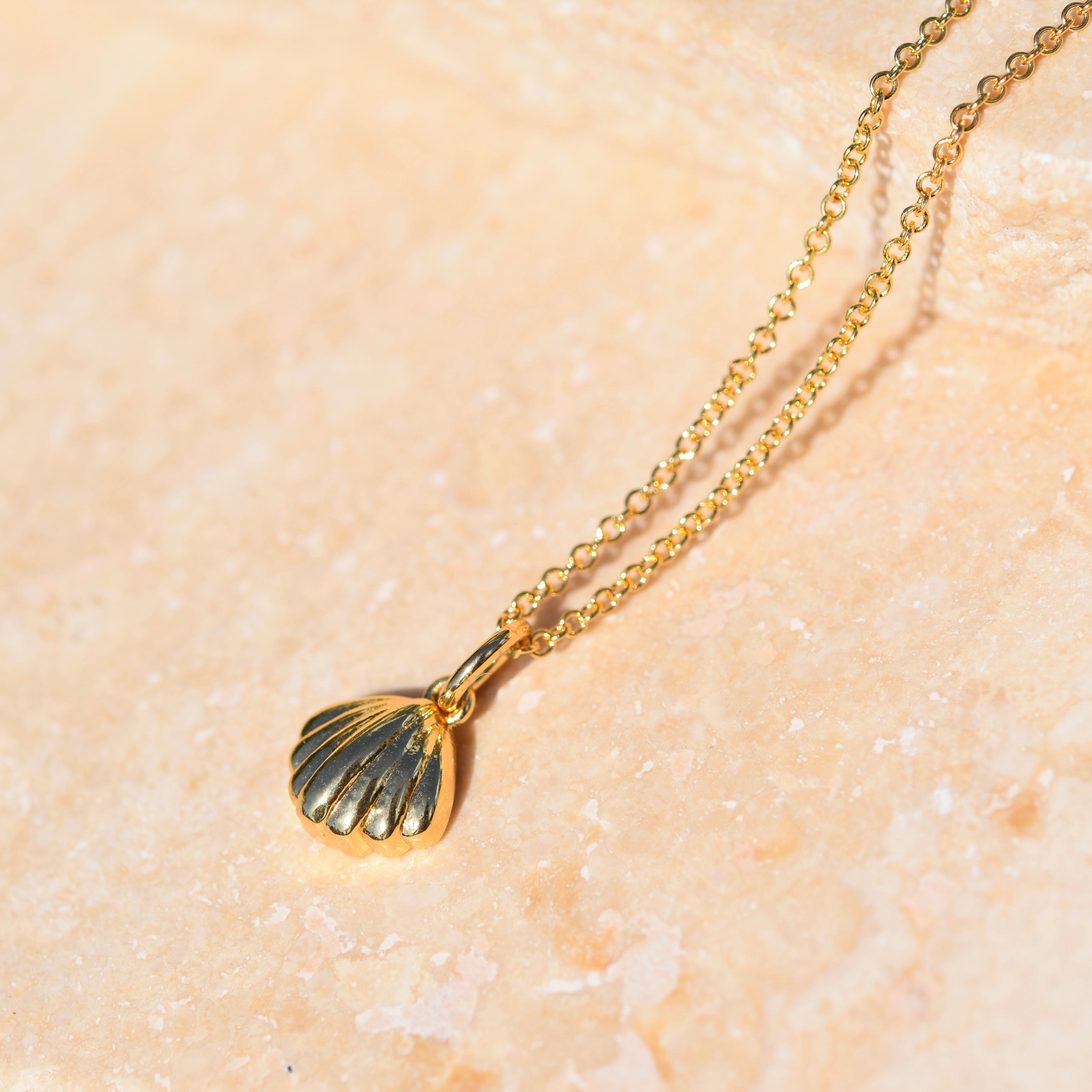 Sea Shell Necklace