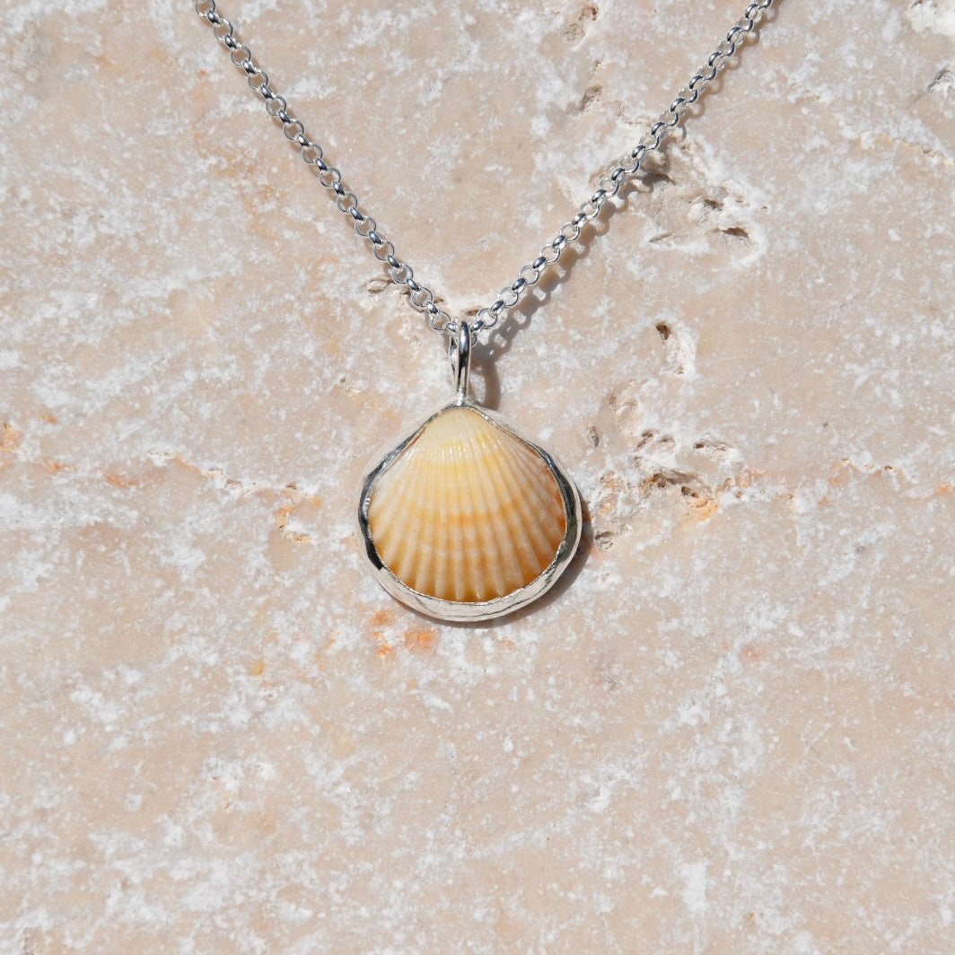 Sea Shell Necklace