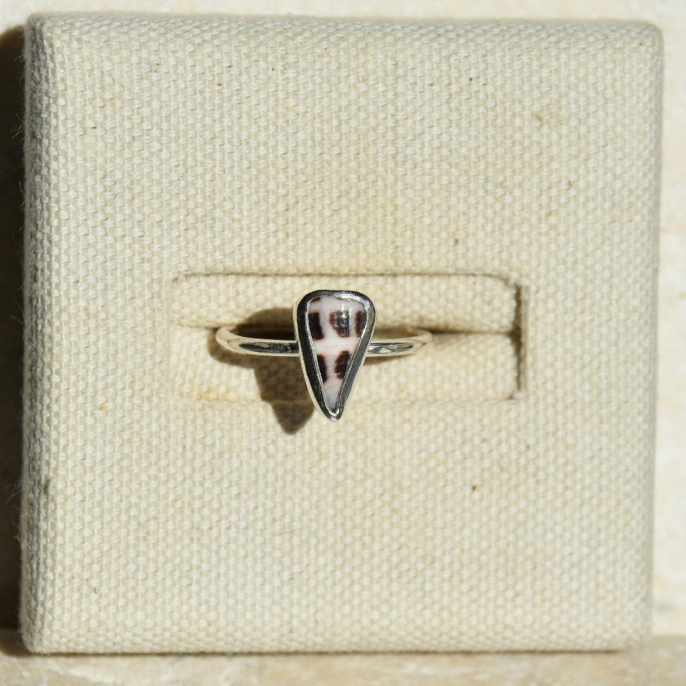 Cone Shell ring | Size P