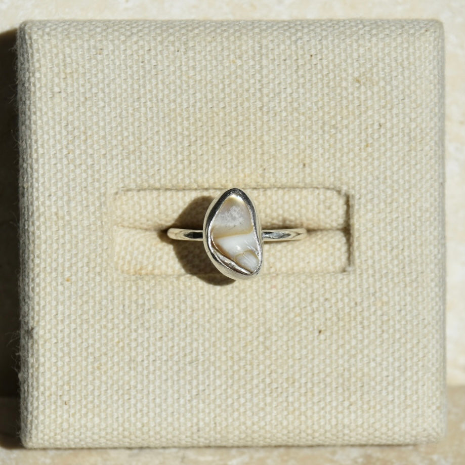Nacre Shell Ring | Size M