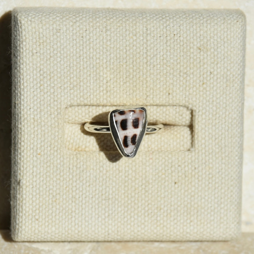 Cone Shell Ring | Size N