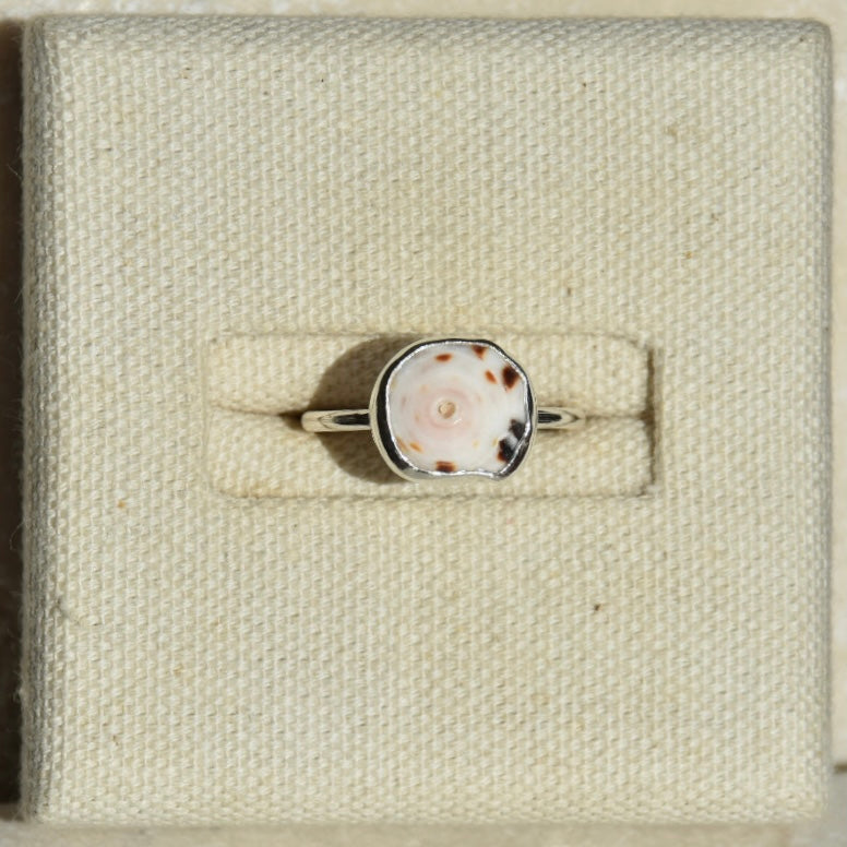 Spiral Shell ring | Size Q
